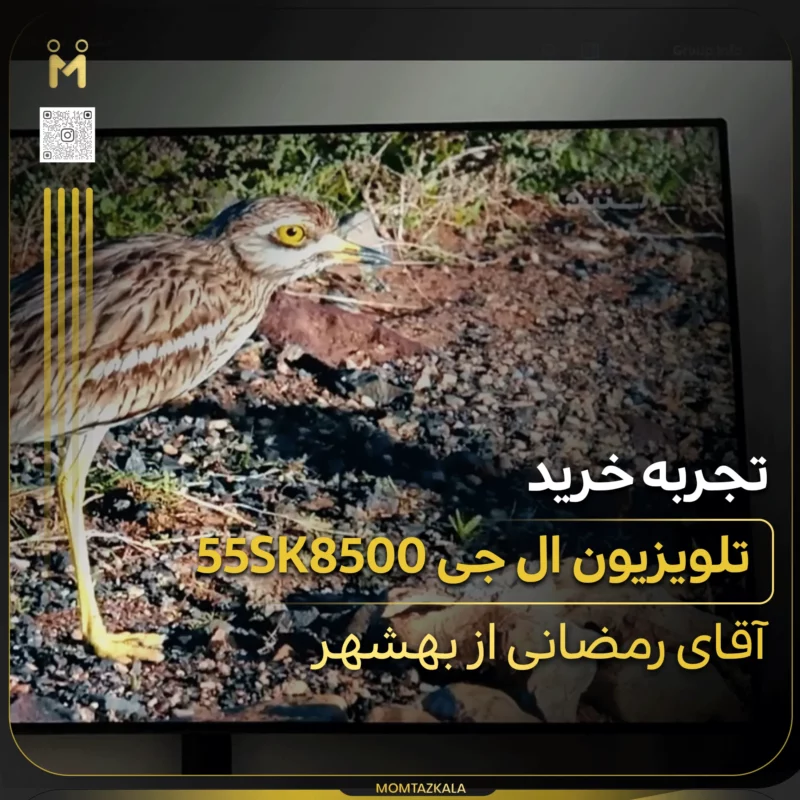 رمضانی بهشهر 55sk8500