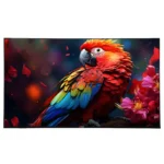 تلویزیون آپلاس سایز 55 اینچ مدل TVQ55KA - Image 2